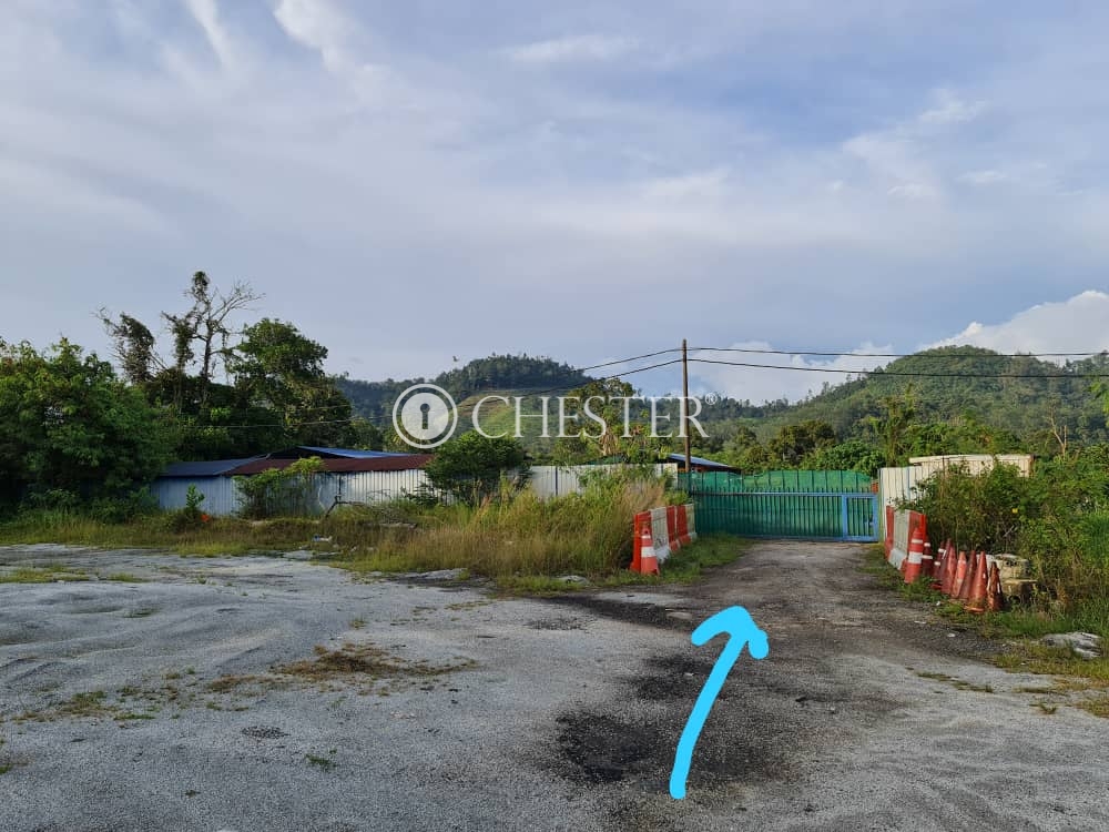 WhatsApp-Image-2020-11-03-at-4.41.19-PM