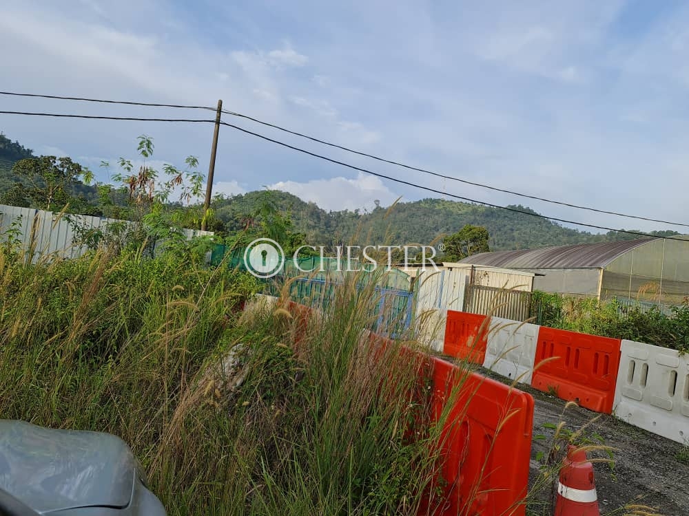 WhatsApp-Image-2020-11-03-at-4.41.20-PM