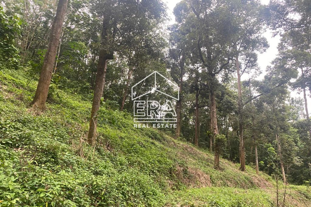 WhatsApp-Image-2020-11-27-at-12.42.24-AM-1