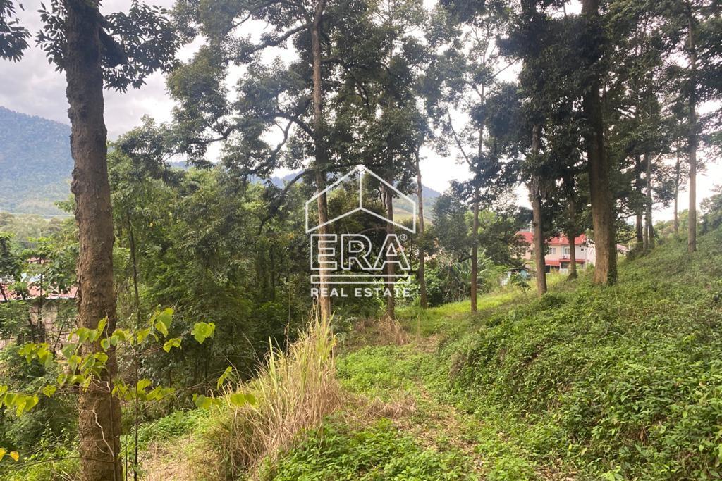 WhatsApp-Image-2020-11-27-at-12.42.24-AM