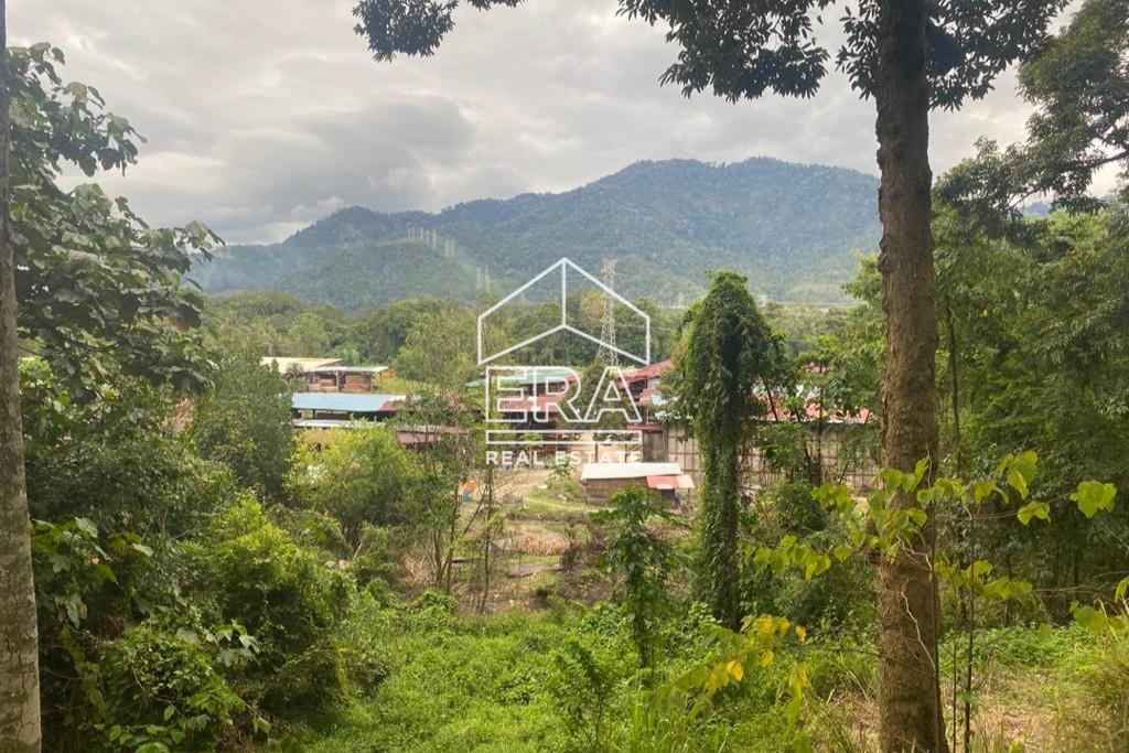 WhatsApp-Image-2020-11-27-at-12.42.25-AM