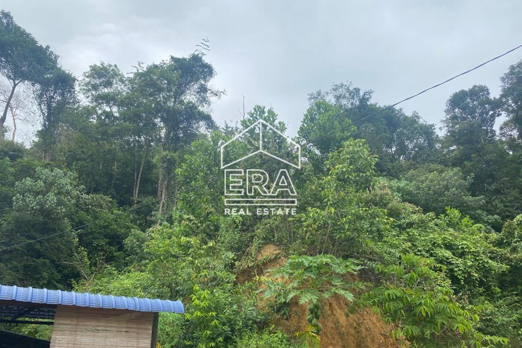 WhatsApp-Image-2020-12-15-at-9.54.07-AM