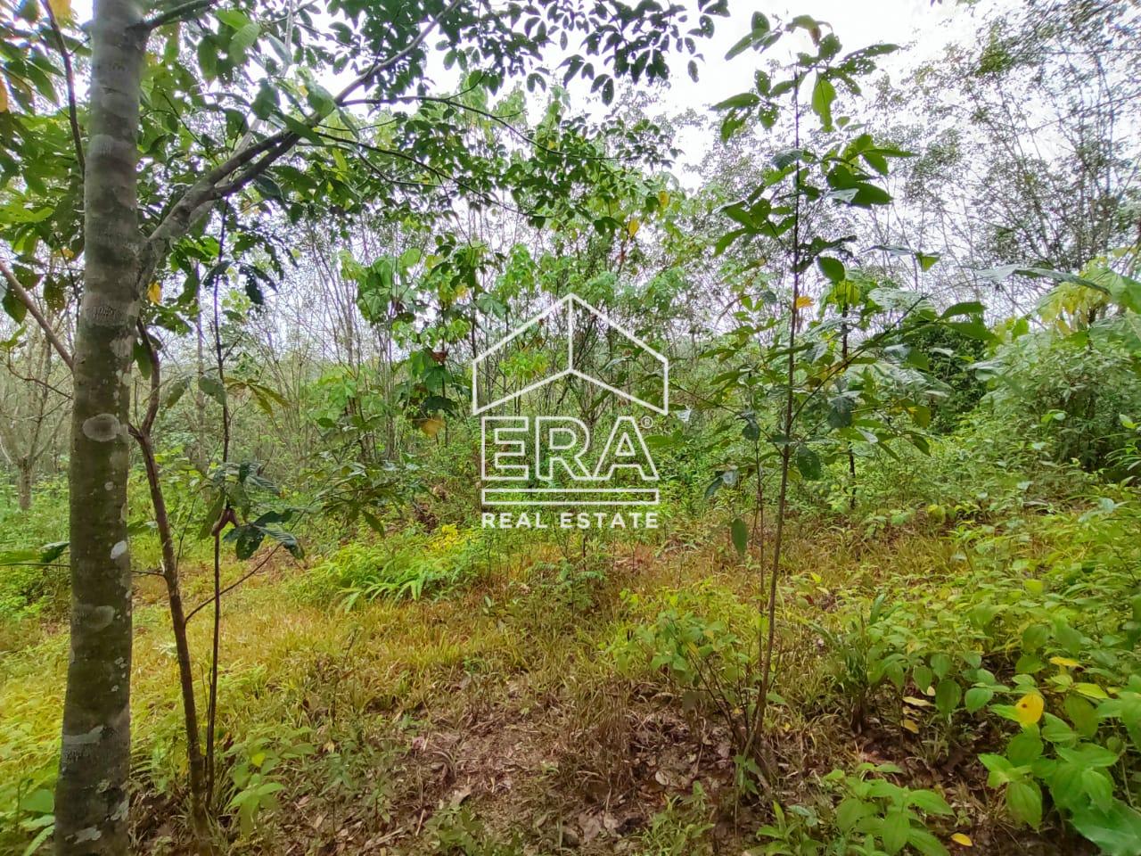 WhatsApp-Image-2022-07-08-at-1.17.06-PM-1-1