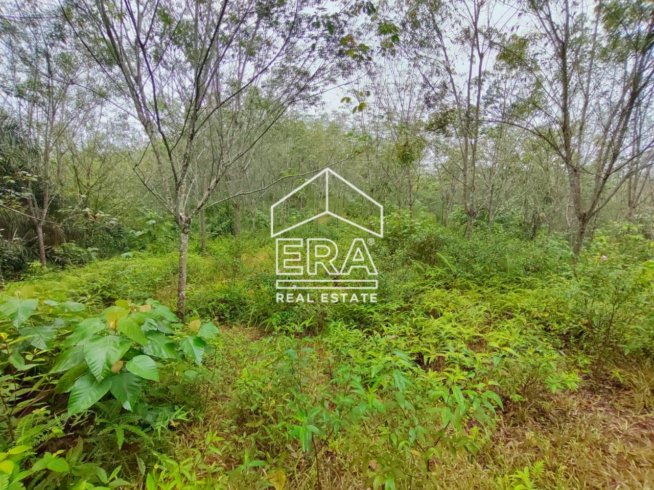 WhatsApp-Image-2022-07-08-at-1.17.26-PM