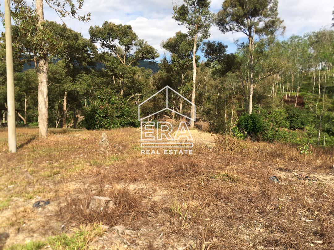 WhatsApp-Image-2022-07-19-at-11.34.23-AM-2