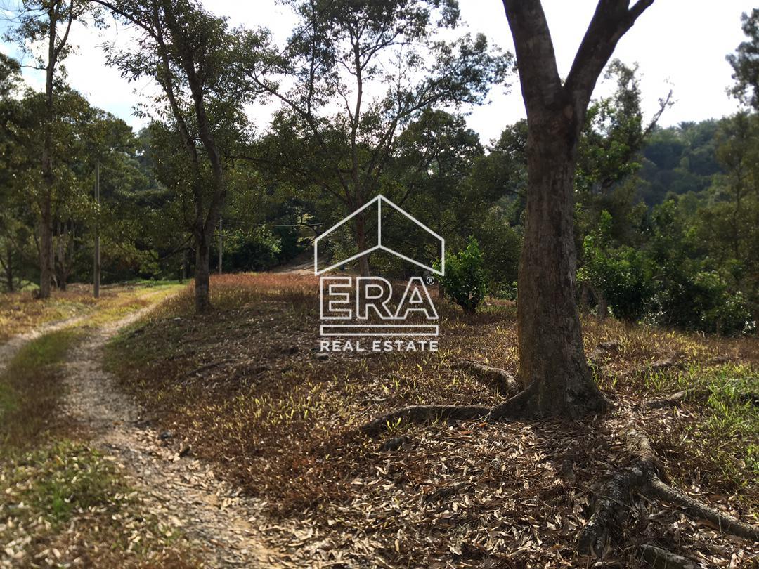 WhatsApp-Image-2022-07-19-at-11.34.24-AM