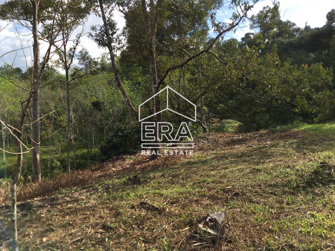 WhatsApp-Image-2022-07-19-at-11.34.25-AM