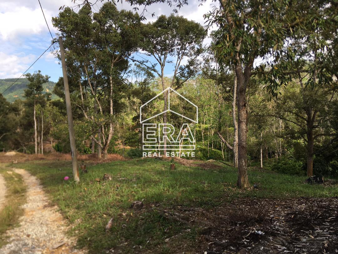 WhatsApp-Image-2022-07-19-at-11.34.26-AM-1