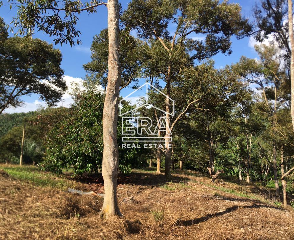 WhatsApp-Image-2022-07-19-at-11.34.27-AM-1