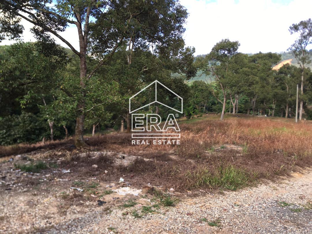 WhatsApp-Image-2022-07-19-at-11.34.27-AM