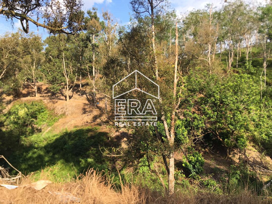 WhatsApp-Image-2022-07-19-at-11.34.28-AM-1