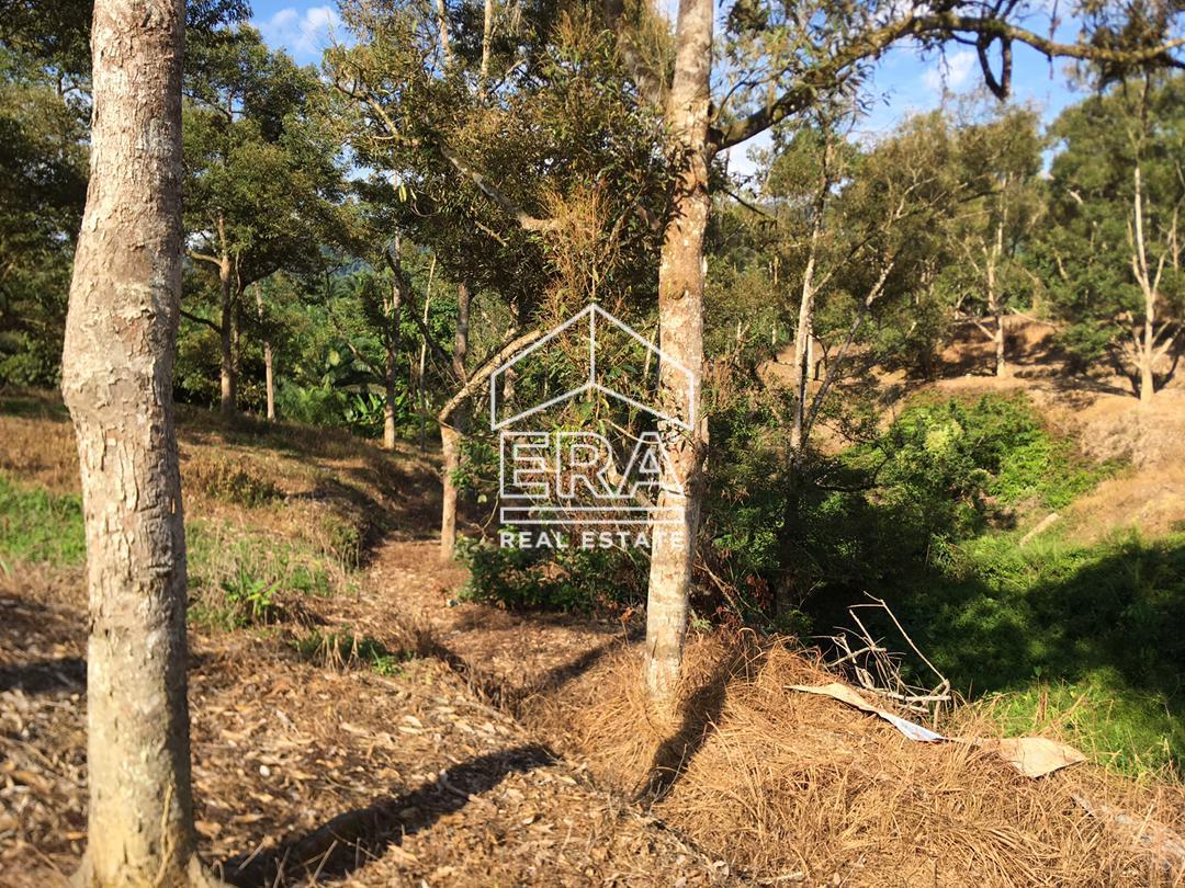 WhatsApp-Image-2022-07-19-at-11.34.28-AM-2