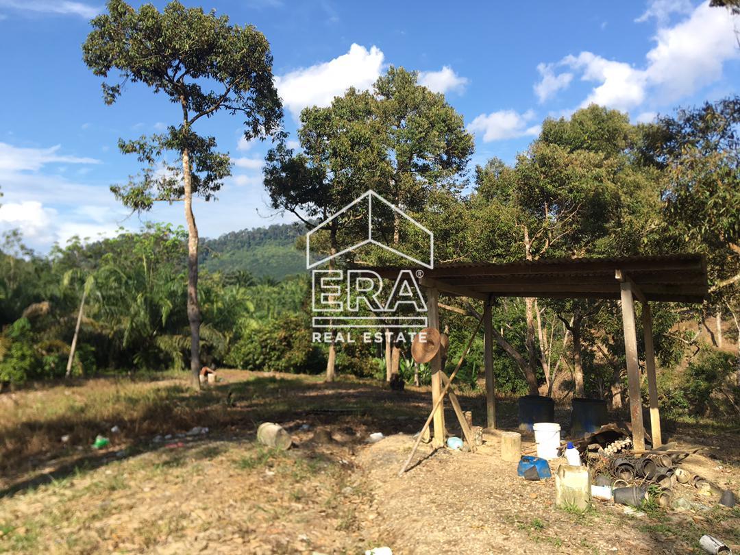 WhatsApp-Image-2022-07-19-at-11.34.28-AM-3