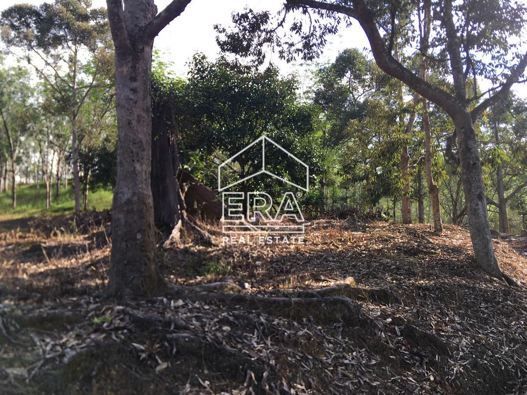 WhatsApp-Image-2022-07-19-at-11.34.29-AM-1-1