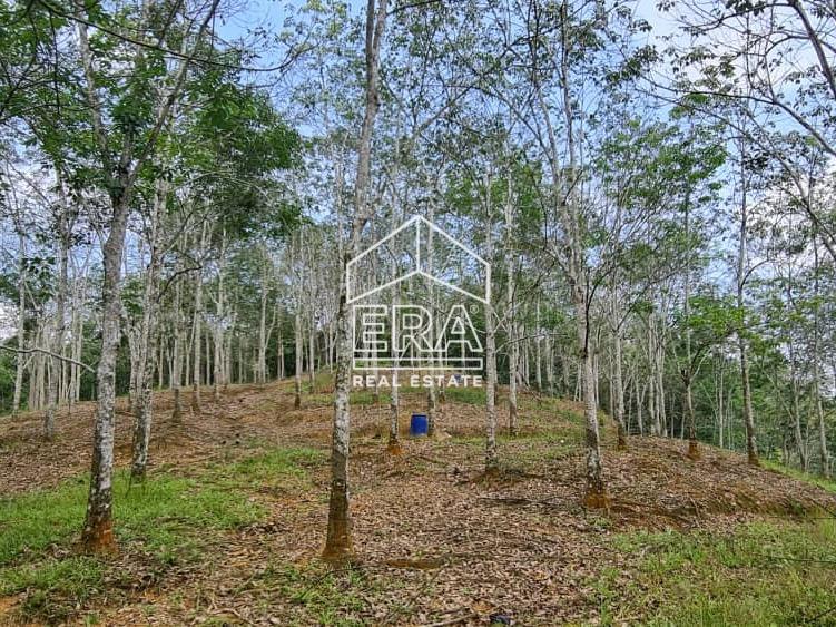 WhatsApp-Image-2022-08-29-at-11.56.43-AM_cropped