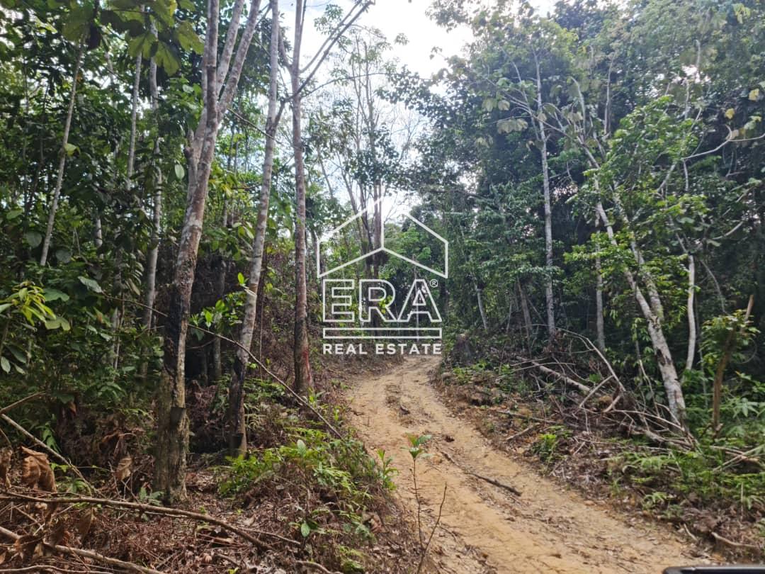 WhatsApp-Image-2022-09-15-at-10.53.53-AM