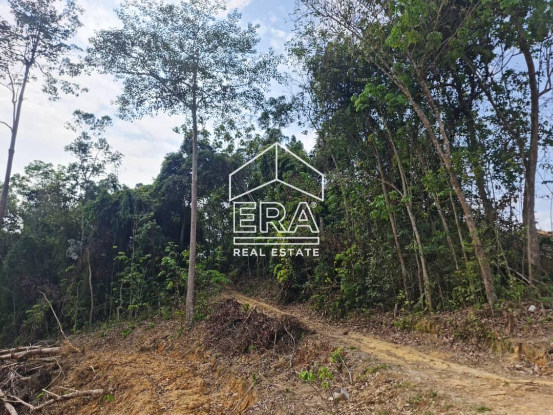 WhatsApp-Image-2022-09-15-at-10.53.54-AM-1-1