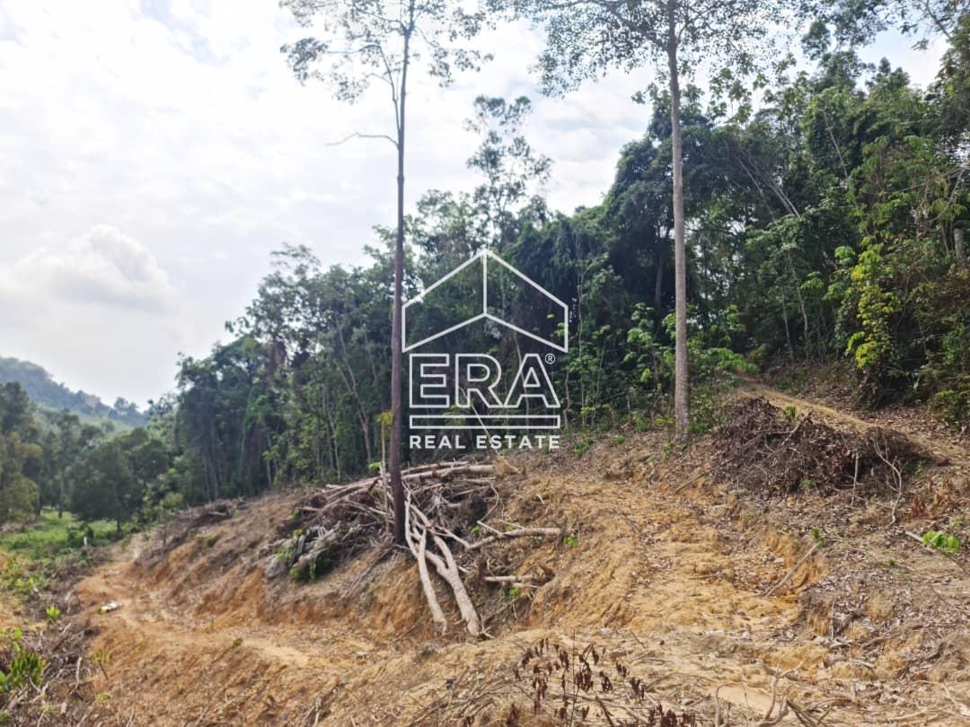 WhatsApp-Image-2022-09-15-at-10.54.13-AM