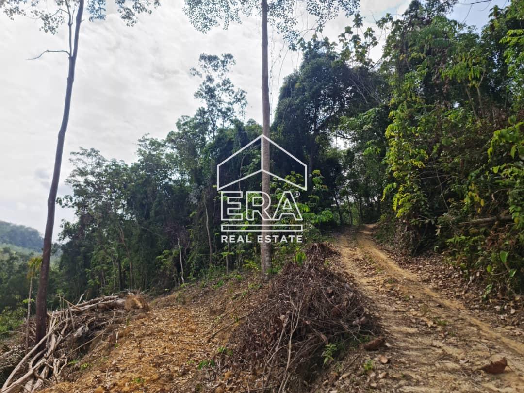 WhatsApp-Image-2022-09-15-at-10.54.57-AM-1