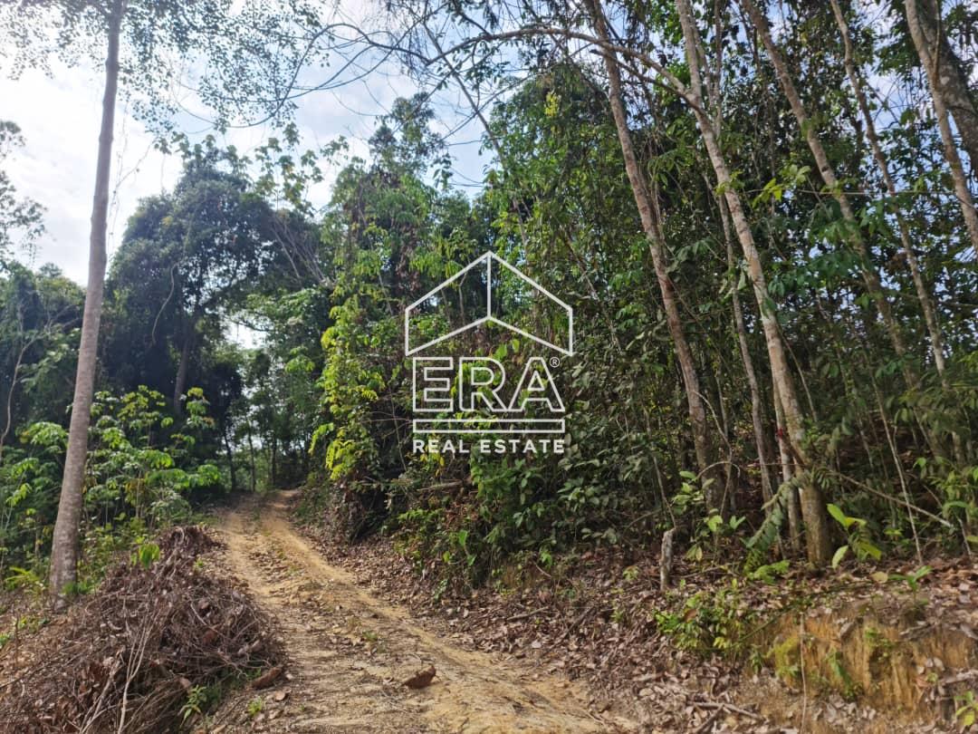 WhatsApp-Image-2022-09-15-at-10.54.58-AM