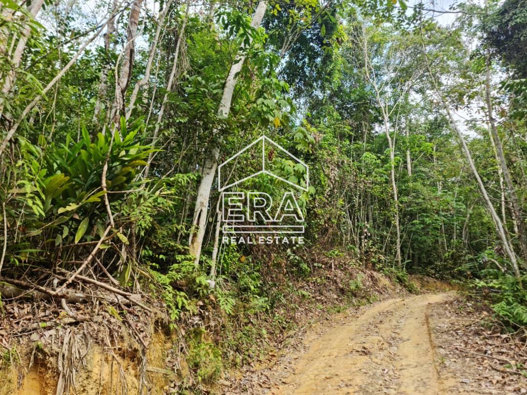 WhatsApp-Image-2022-09-15-at-10.54.59-AM