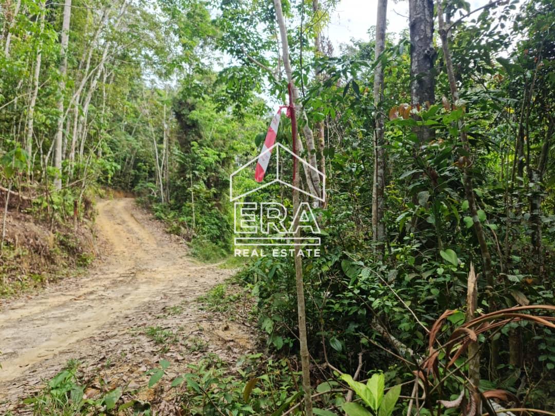 WhatsApp-Image-2022-09-15-at-10.55.00-AM-1