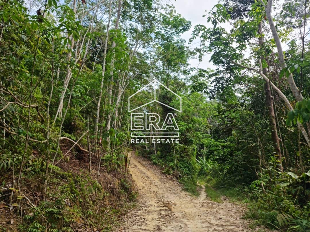 WhatsApp-Image-2022-09-15-at-10.55.00-AM