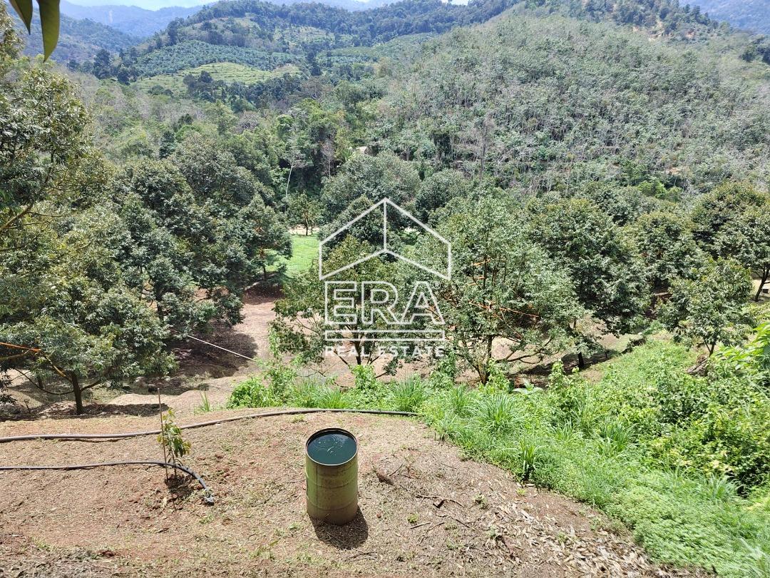 WhatsApp-Image-2022-10-31-at-16.45.43-1