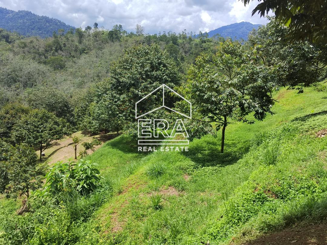 WhatsApp-Image-2022-10-31-at-16.45.43-2-1