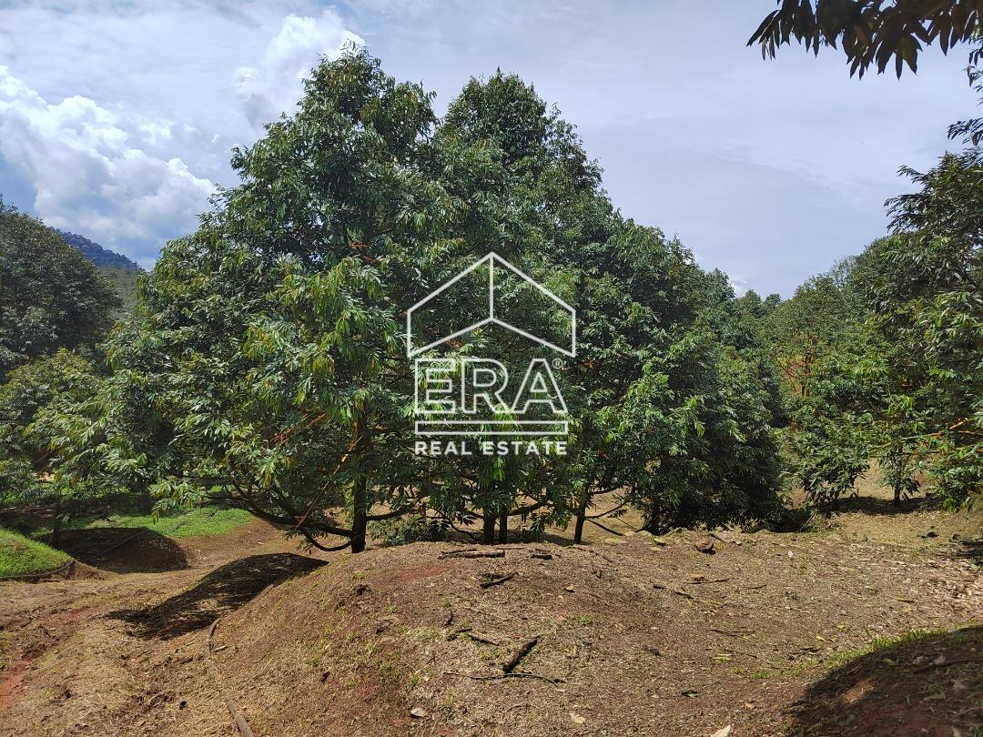 WhatsApp-Image-2022-10-31-at-16.45.43-3