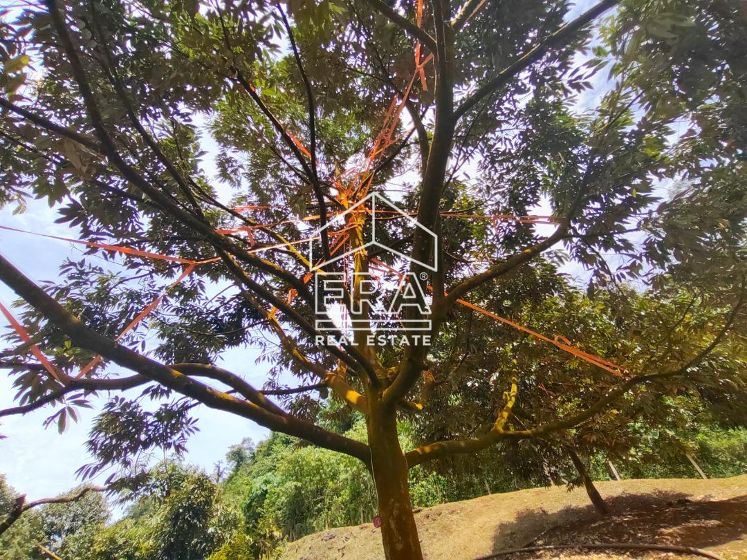 WhatsApp-Image-2022-10-31-at-16.45.43-4