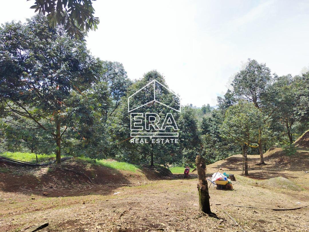 WhatsApp-Image-2022-10-31-at-16.45.43-5