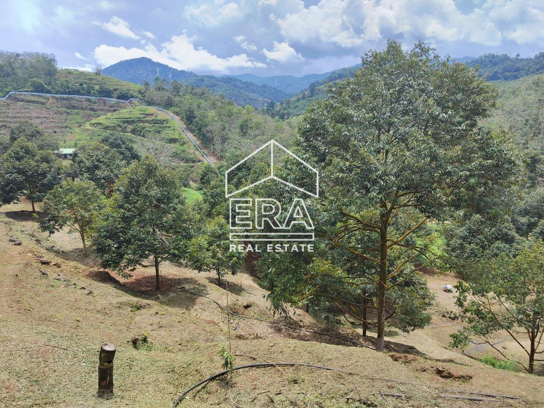 WhatsApp-Image-2022-10-31-at-16.45.43