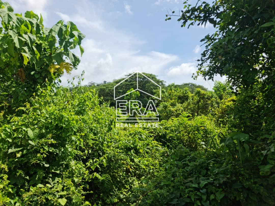 WhatsApp-Image-2022-11-09-at-11.26.05