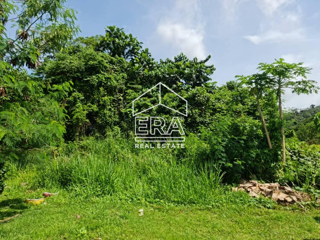 WhatsApp-Image-2022-11-09-at-11.26.06-1