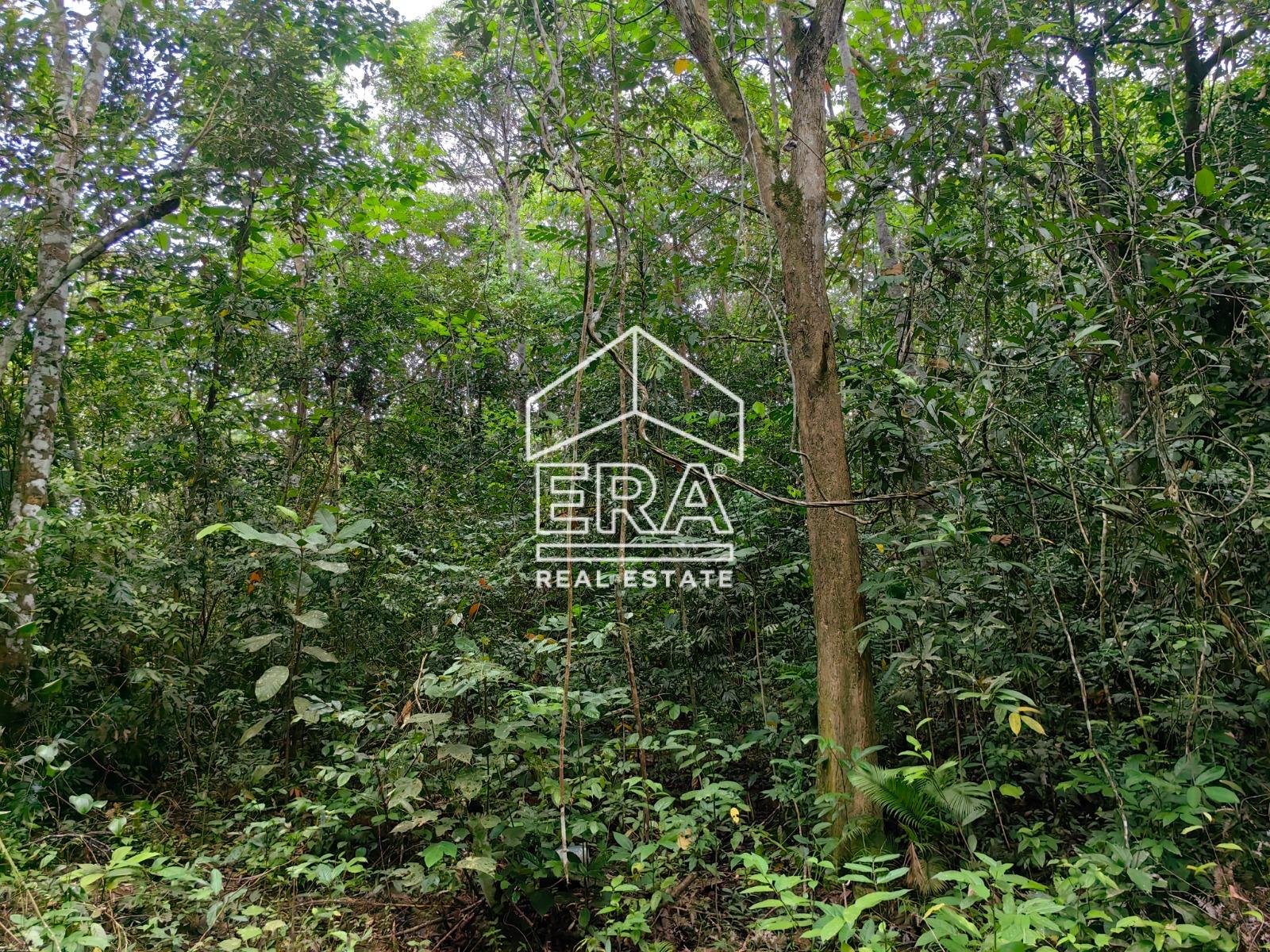 WhatsApp-Image-2023-02-04-at-10.24.55-1-1