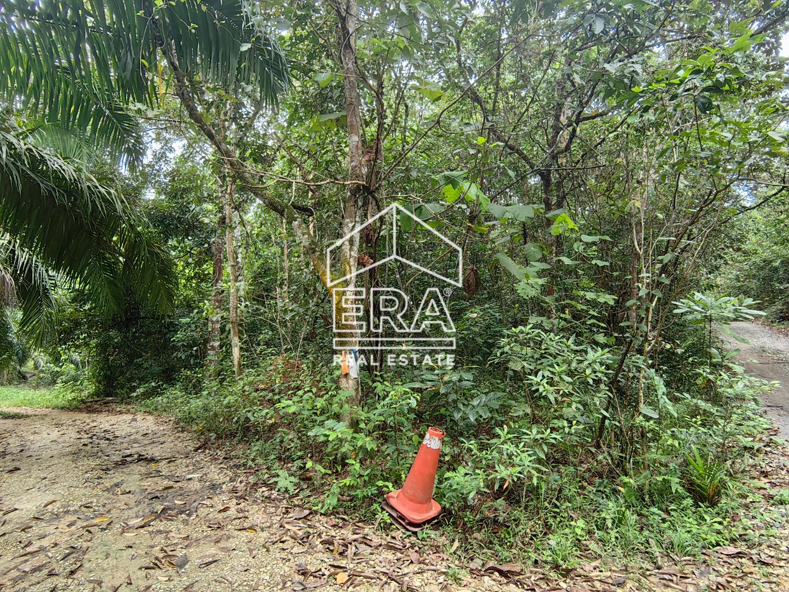 WhatsApp-Image-2023-02-04-at-10.24.55-2