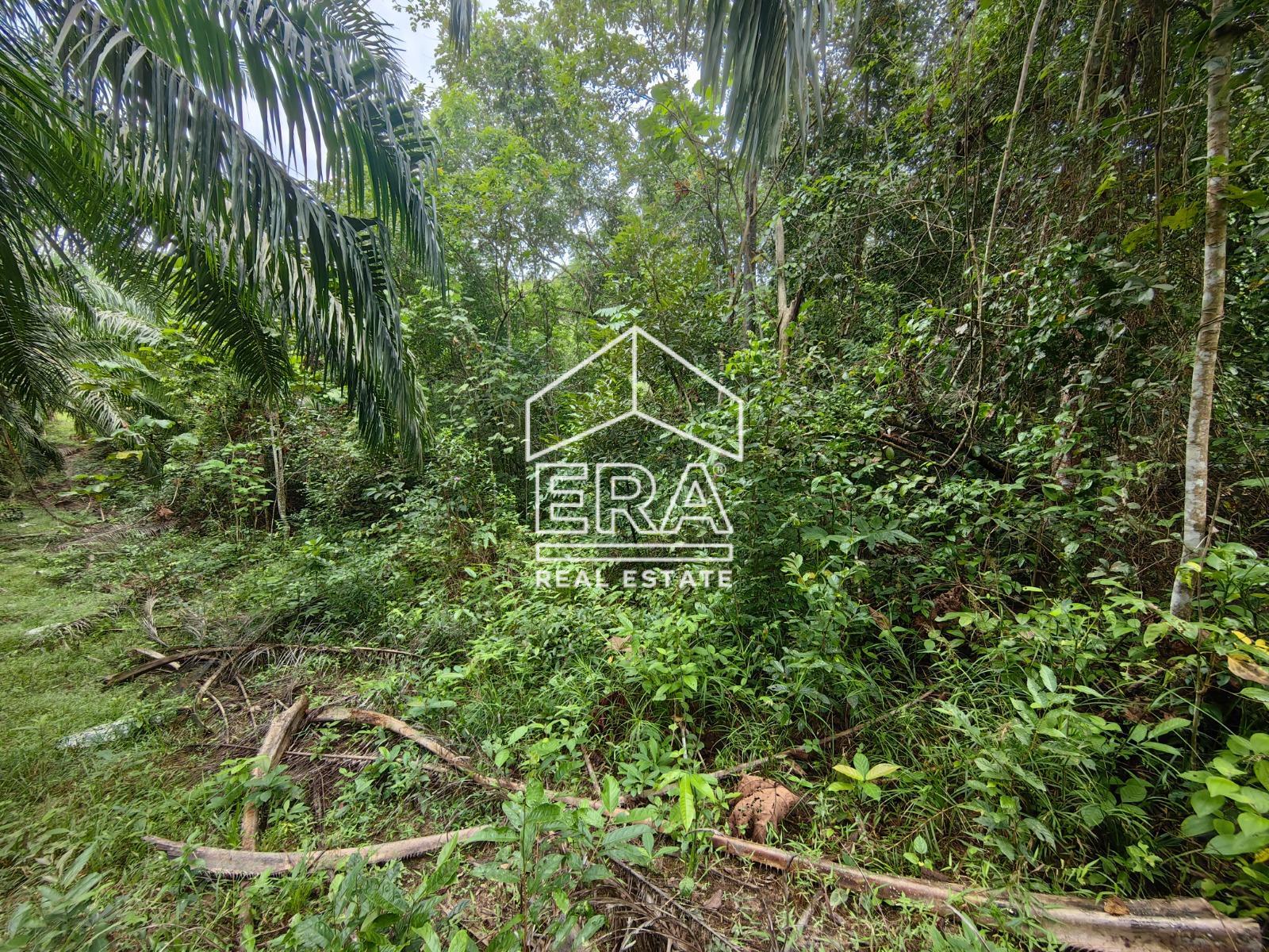 WhatsApp-Image-2023-02-04-at-10.24.55-3