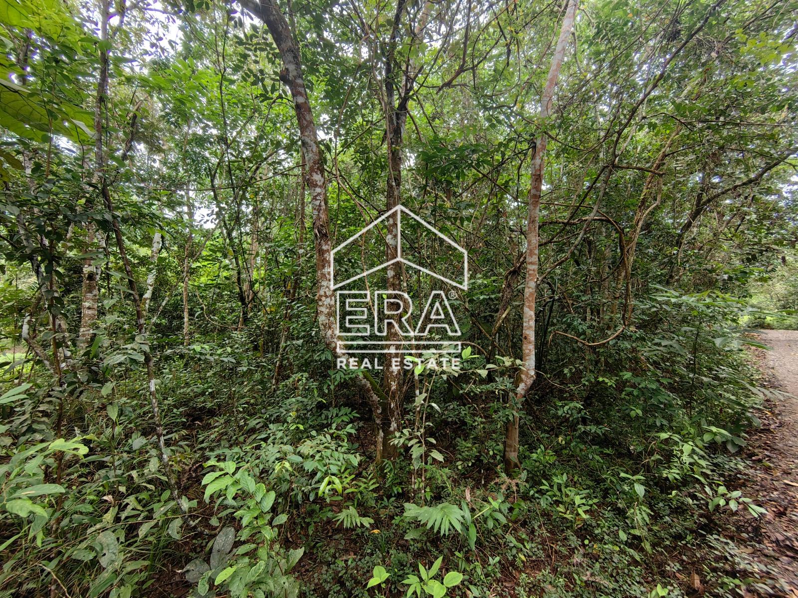 WhatsApp-Image-2023-02-04-at-10.24.55-5-1