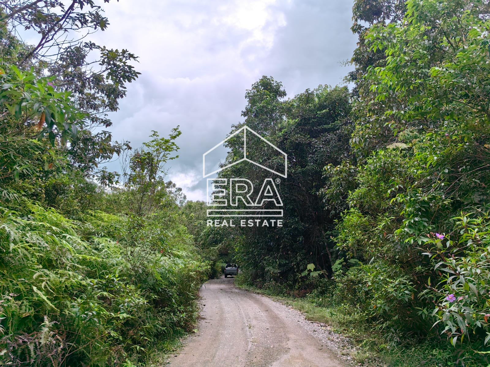 WhatsApp-Image-2023-02-04-at-10.24.55-6