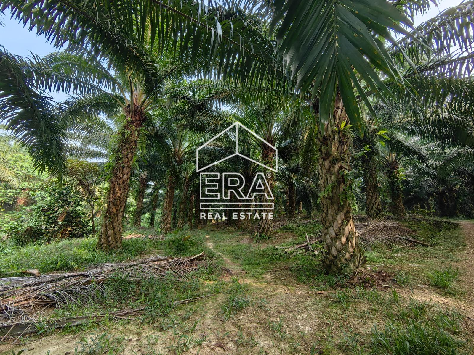 WhatsApp-Image-2023-04-14-at-14.08.12-1