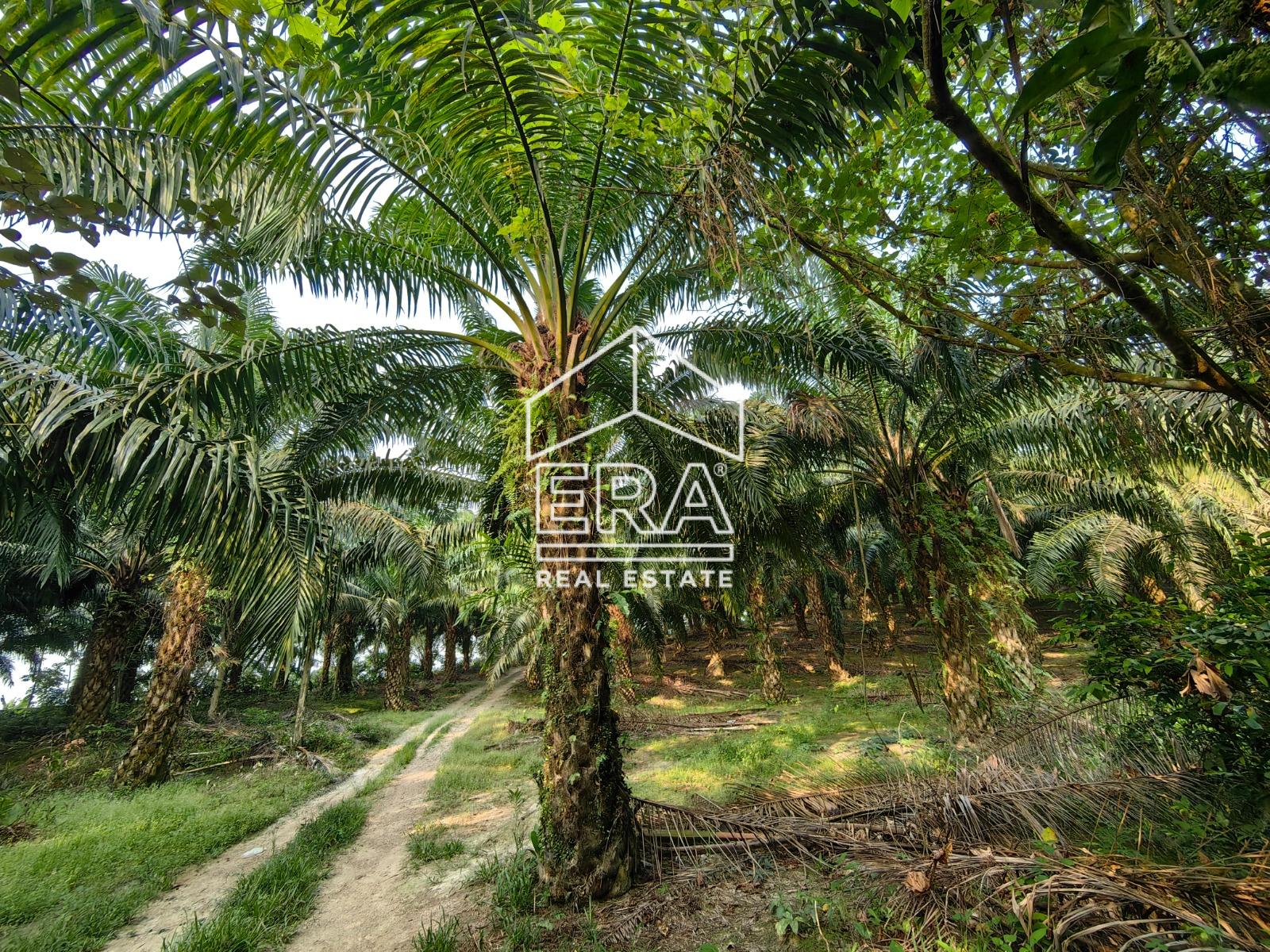 WhatsApp-Image-2023-04-14-at-14.08.12-2