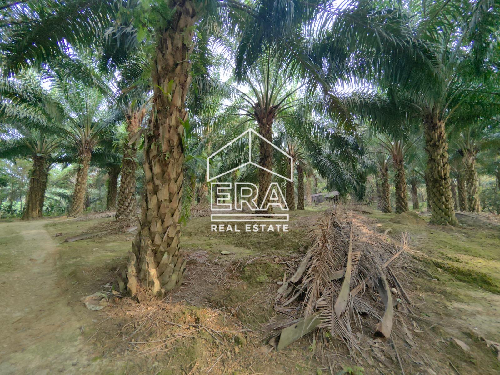 WhatsApp-Image-2023-04-14-at-14.08.12-7