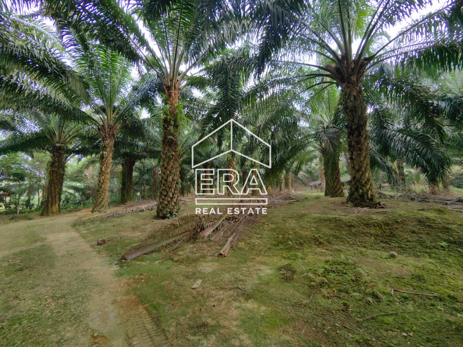 WhatsApp-Image-2023-04-14-at-14.08.12-8-1