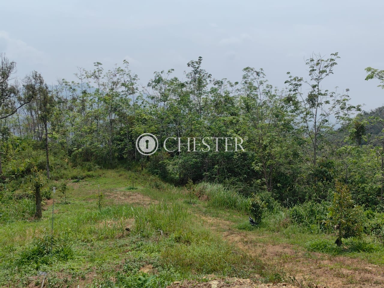 WhatsApp-Image-2023-04-17-at-16.04.18-1-1