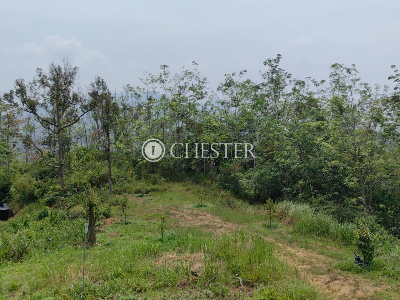 WhatsApp-Image-2023-04-17-at-16.04.18