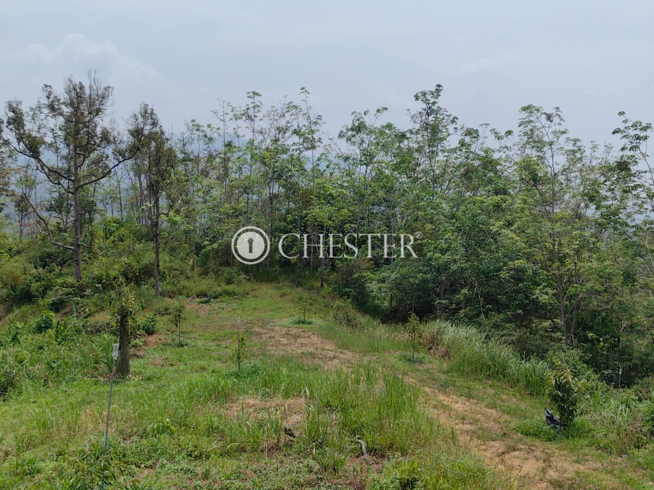 WhatsApp-Image-2023-04-17-at-16.04.19