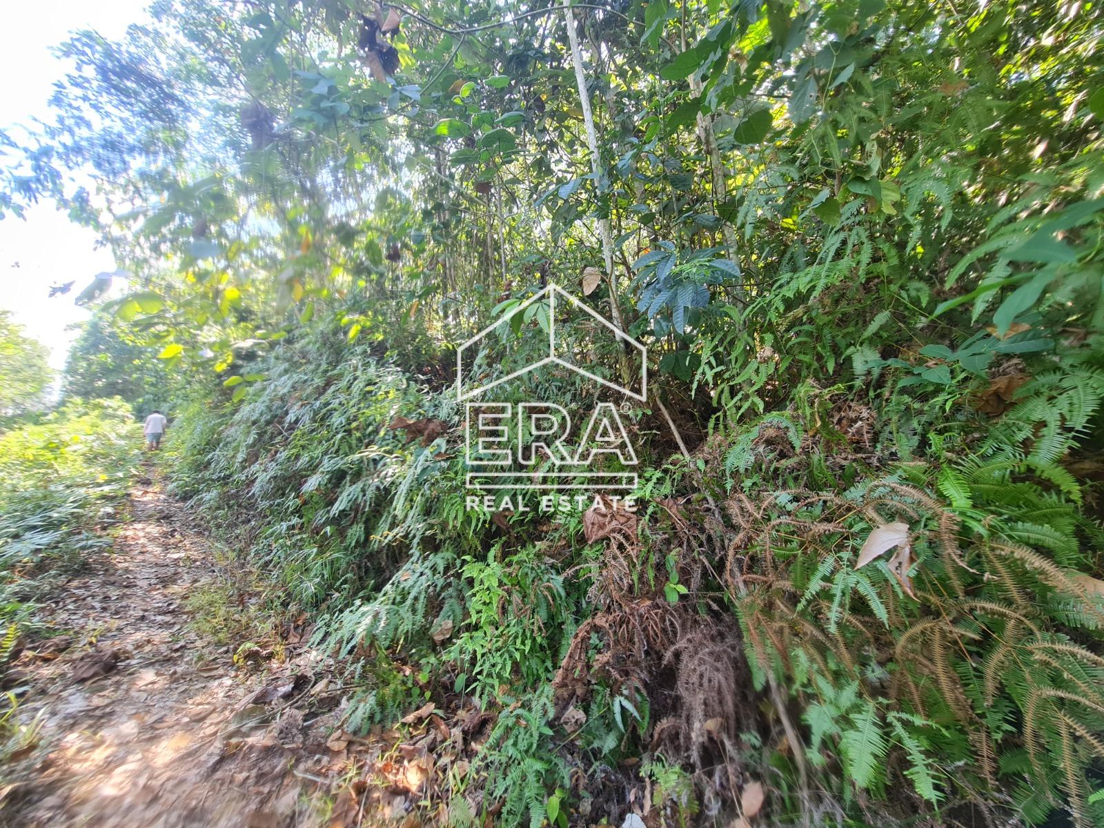 WhatsApp-Image-2023-05-31-at-14.49.33-4-1