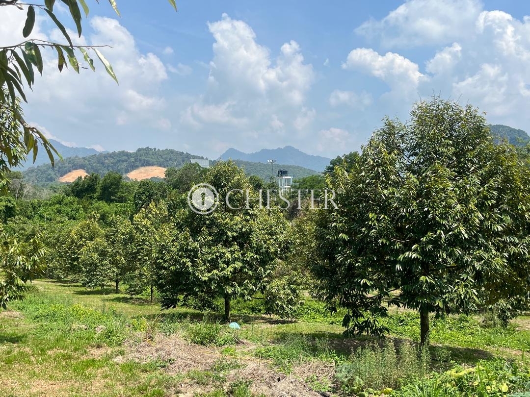 WhatsApp-Image-2024-06-10-at-17.18.12-1