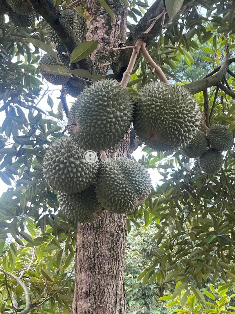 WhatsApp-Image-2024-06-10-at-17.31.19-1